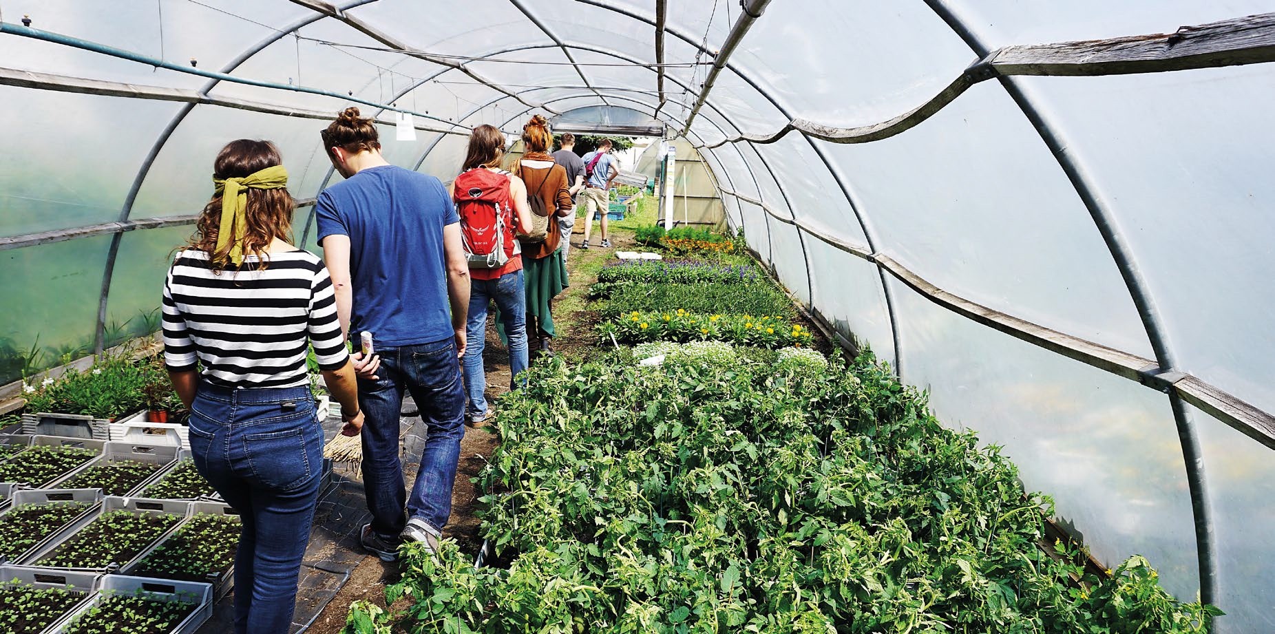 Wenn das Gemüse auch in der Stadt aus der direkten Nachbarschaft kommt: Immer mehr Menschen zeigen Interesse an Urbanen Gartenbau-Initiativen. 